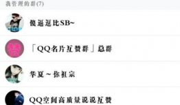 吃瓜大爆料qq群聊号,吃瓜大爆料QQ群聊号背后的神秘故事