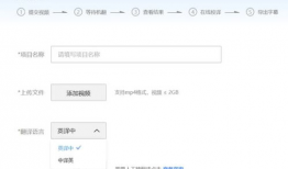 视频字幕翻译软件,轻松获取多语言字幕的神奇工具